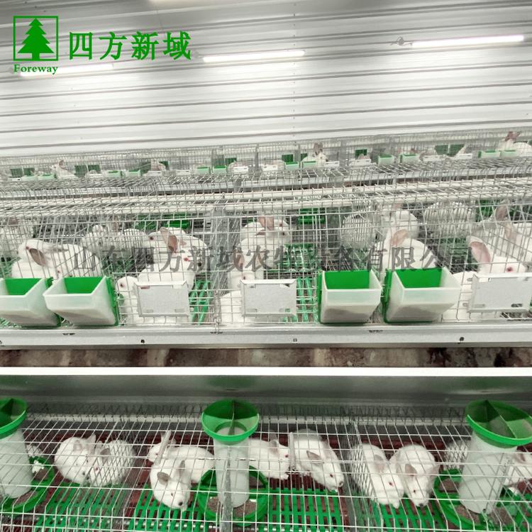 常年销售 青年兔种兔笼 双层农养兔笼 网片组装兔笼 四方新域品质兔笼