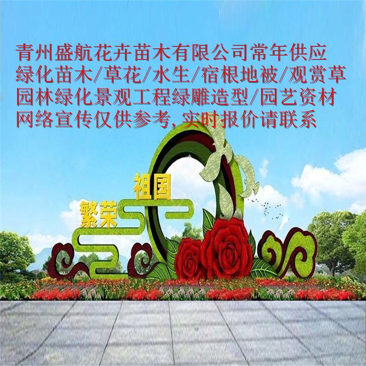 公路路边苗木采购 绿化工程花卉