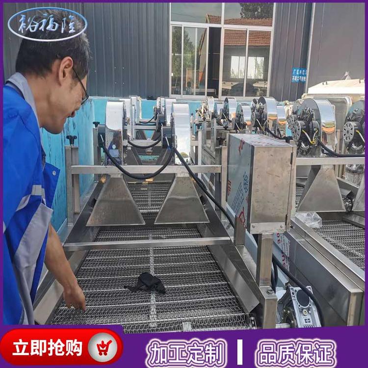 全自动清洗翻转风干机 全自动蓝莓清洗风干线价格 304不锈钢
