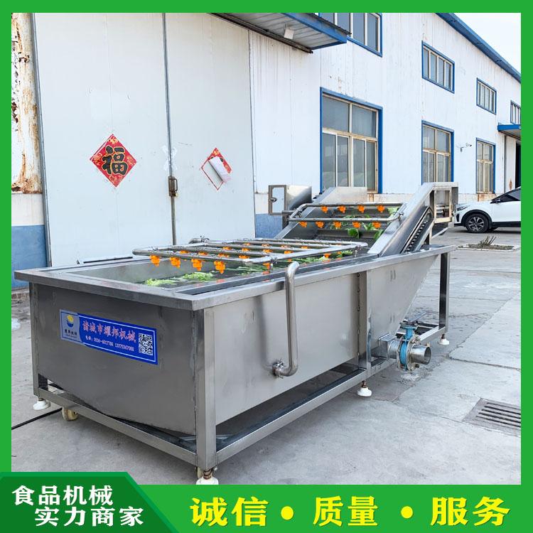 大型蔬菜清洗机 全自动翻浪式气泡清洗机 多功能喷淋式果蔬清洗机 净菜加工设备