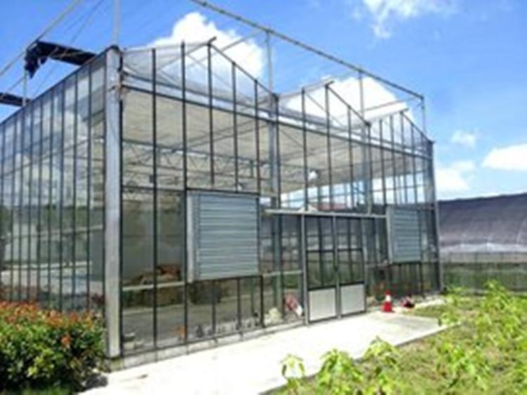 承接温室工程及设计-【点击咨询】-山水合温室