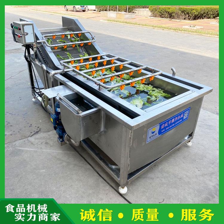 臭氧杀菌果蔬清洗机 水果气泡喷淋洗菜机 大型果蔬清洗机 全自动酱菜脱盐清洗设备