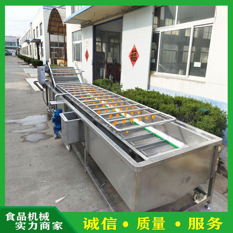 臭氧气泡果蔬清洗机 黄桃 山楂罐头清洗加工设备 罐头加工专用水果清洗设备