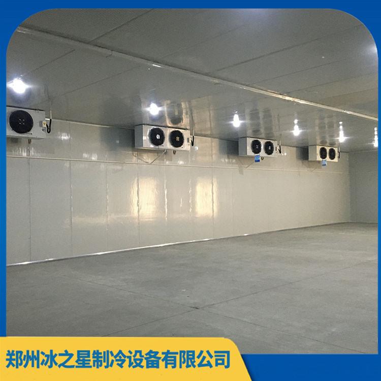 加工定制立式速冻设备 郑州中小型保鲜冷库价格 超长售后 保修5年