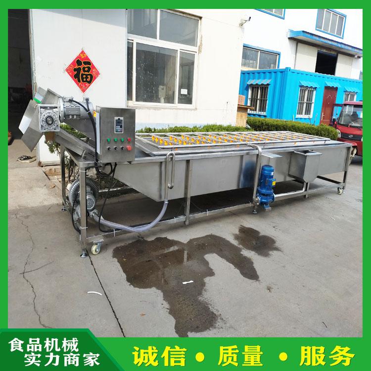 叶菜类蔬菜气泡清洗机 鲜玉米根茎类清洗设备 全自动连续式蔬菜清洗机 多功能洗菜机