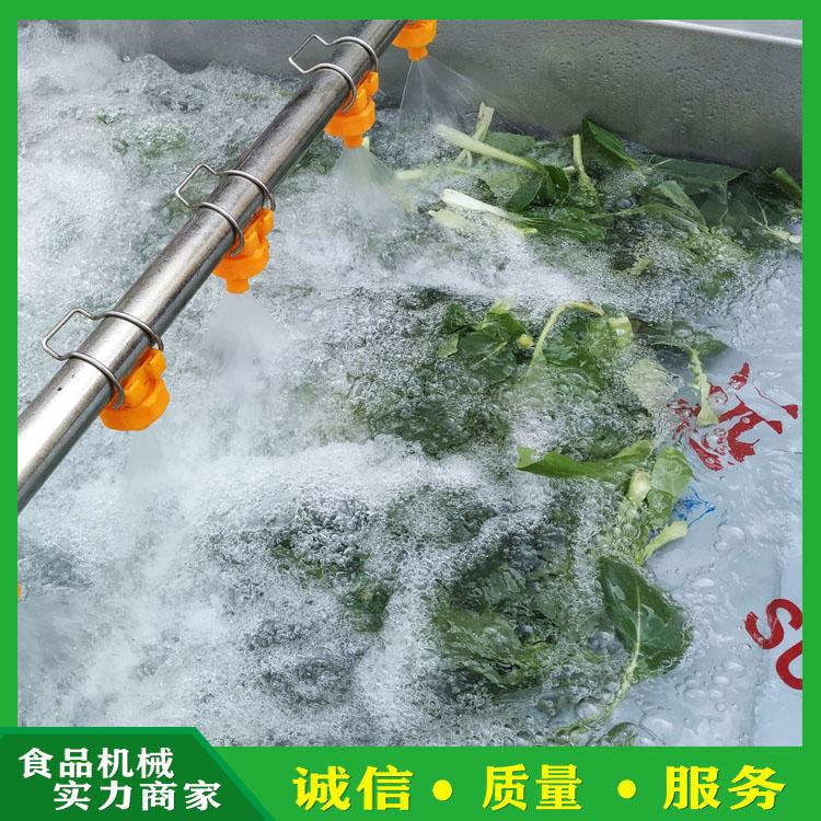 全自动洗菜机 果蔬气泡清洗机 雪菜油菜菠菜白菜清洗机 叶类蔬菜清洗设备生产厂家
