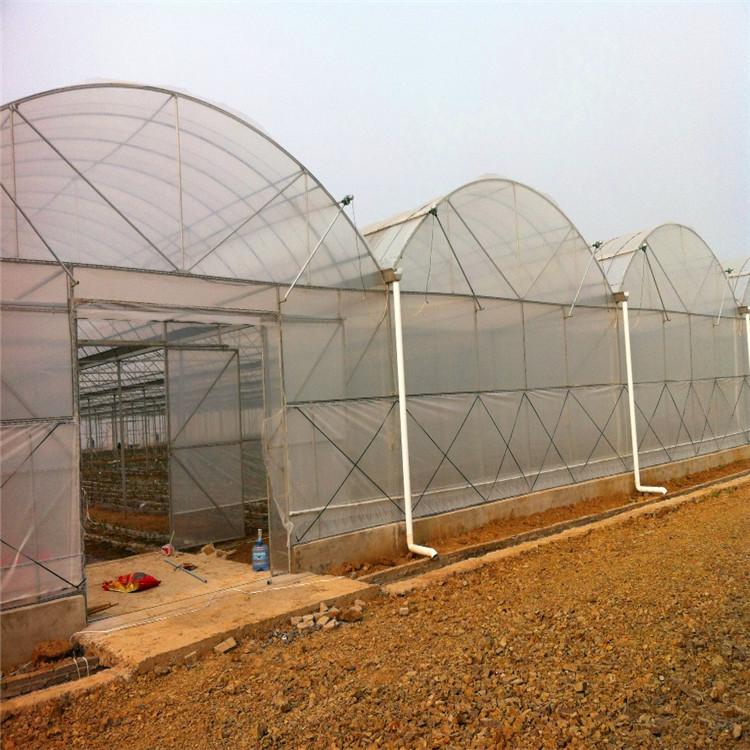 连栋温室大棚专业建设 连栋薄膜温室大棚