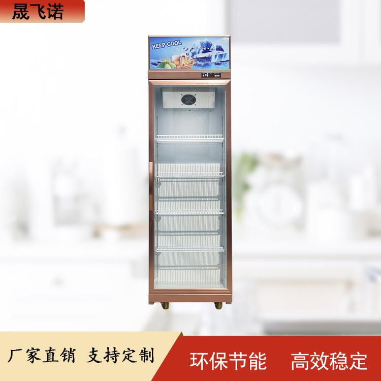 啤酒柜 商用啤酒 饮料 矿泉水展示柜 立式冷藏展示柜 厂家直销