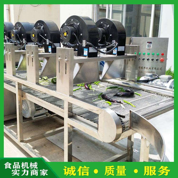 黑枸杞气泡清洗机 中药材清洗加工设备 大枣清洗风干流水线 多功能叶菜清洗设备