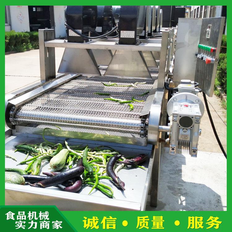 空心菜龙须菜鼓泡清洗机 商用蔬菜清洗流水线 餐厅洗菜机 果蔬气泡清洗设备