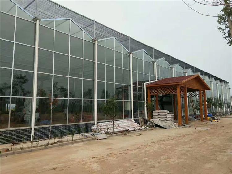 农业全玻璃温室大棚 智能玻璃温室大棚厂家 天之蓝温室