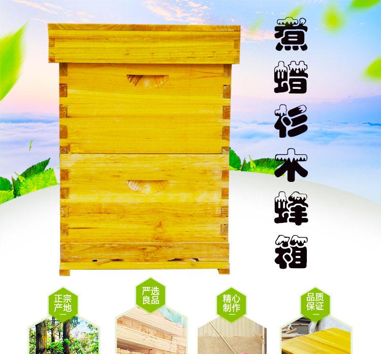 煮蜡高箱 蜜蜂专用高箱 蜂箱批发