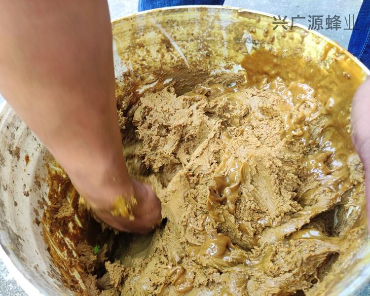 油菜杂粉喂蜂专用杂花粉-兴广源推荐