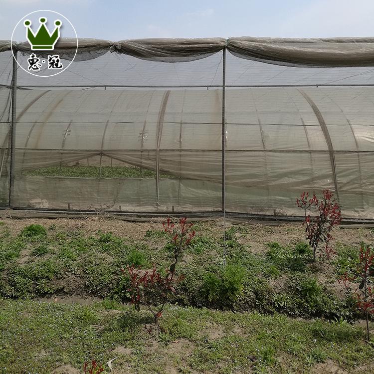 惠冠定制草莓温室蔬菜大棚 骨架蔬菜大棚 农业蔬菜大棚价格