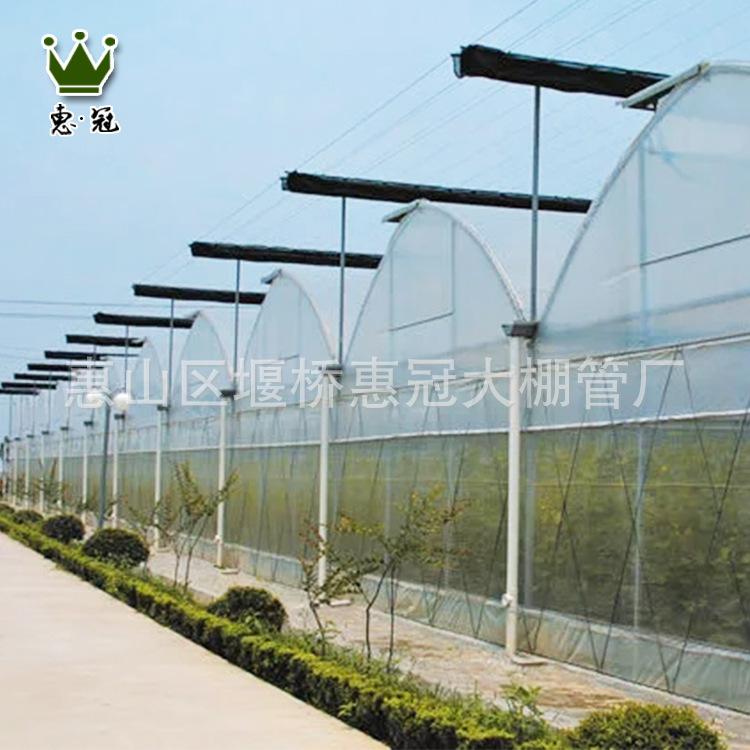 温室大棚 连栋花卉温室玻璃大棚 热镀锌钢管骨架蔬菜连栋大棚
