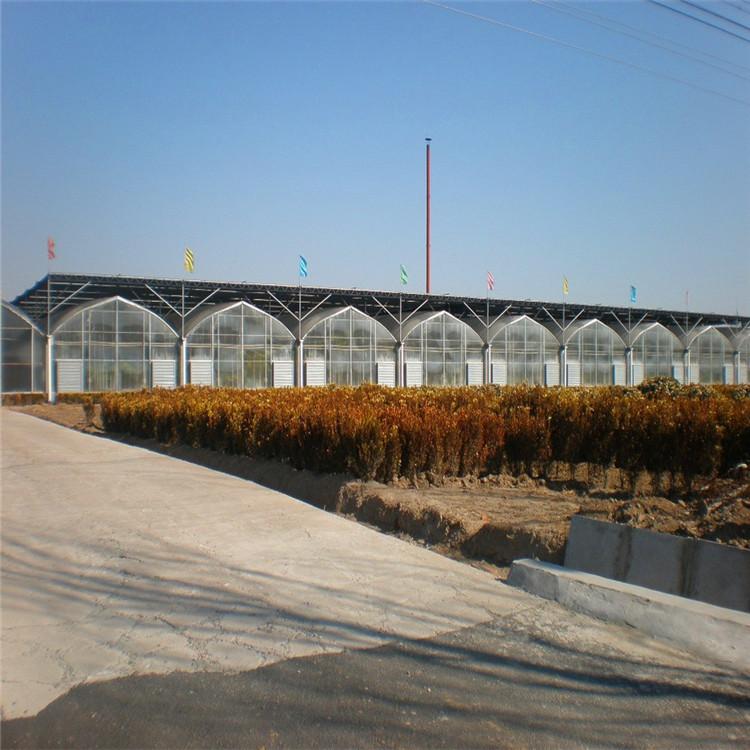 连栋薄膜温室大棚厂家生产 温室大棚建设