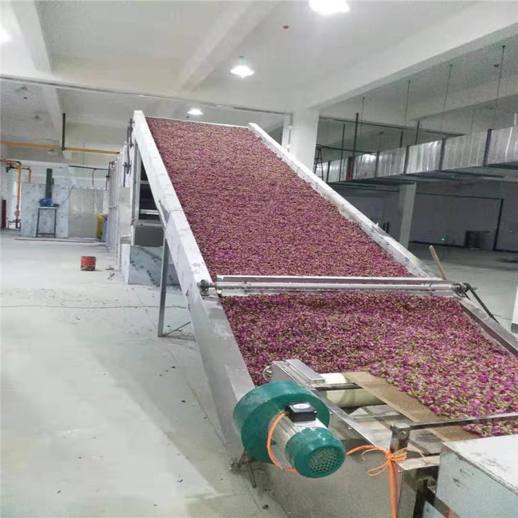 网带式蔬菜脱水烘干设备 辣椒烘干线 杀菌脱水干燥 蔬菜烘干机
