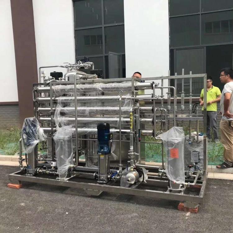 陕西纯净水处理设备 1T双极RO反渗透纯水设备EDI设备 进车间安装