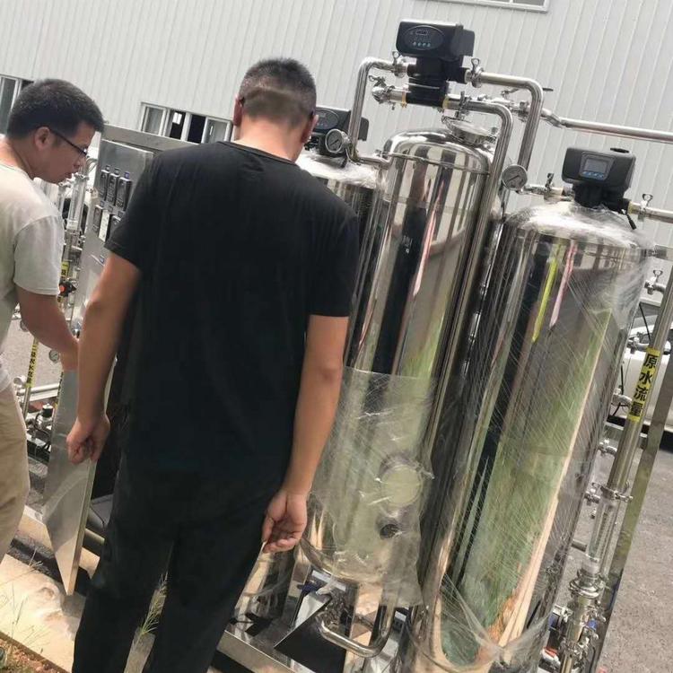 榆林纯净水处理设备 1T双极RO反渗透纯水设备EDI设备 厂家定制 免费安装