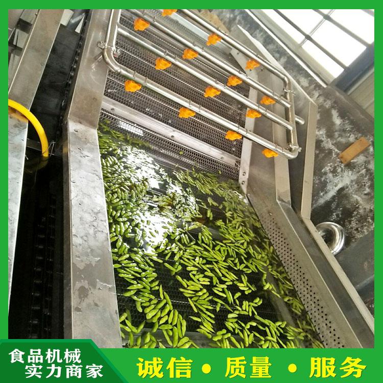 海带气泡加工设备 多功能龙须菜鱼腥草气泡清洗机 海蜇清洗机厂家直销