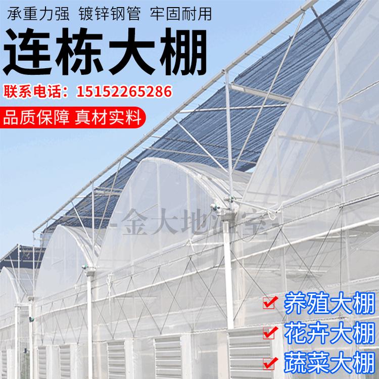 贵州连温室大棚外遮阳连栋大棚日光温室农业大棚玻璃温室蔬菜大棚养殖大棚温室大棚骨架栋大棚报价