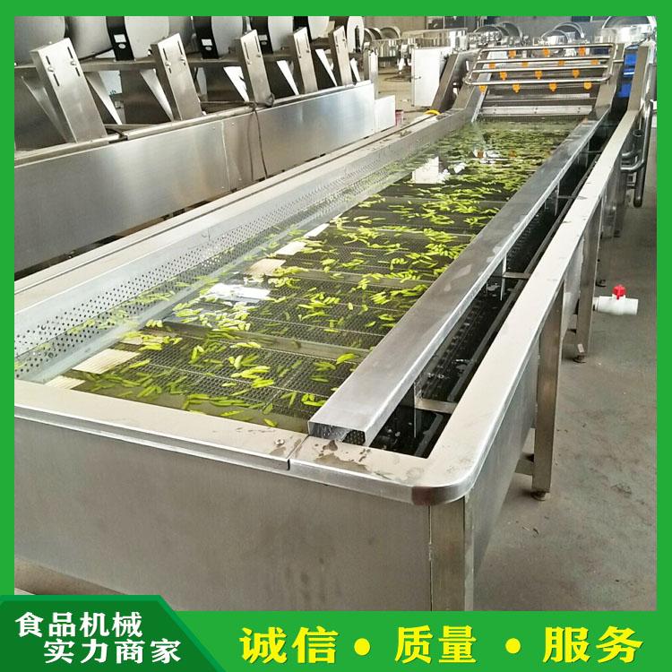 荠菜茼蒿去农残清洗机 海产品多功能气泡清洗机 海鲜去泥沙清洗设备 不锈钢蔬菜清洗机