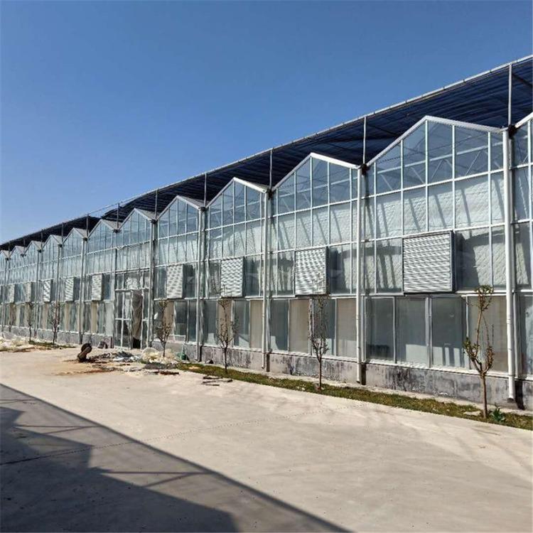新颖的智能温室设计 连栋玻璃智能温室建造商 温室大棚工程