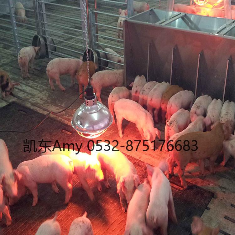 小猪仔猪保育垫 凯东育肥垫 猪用料槽垫  耐撕裂抗撕咬母猪垫