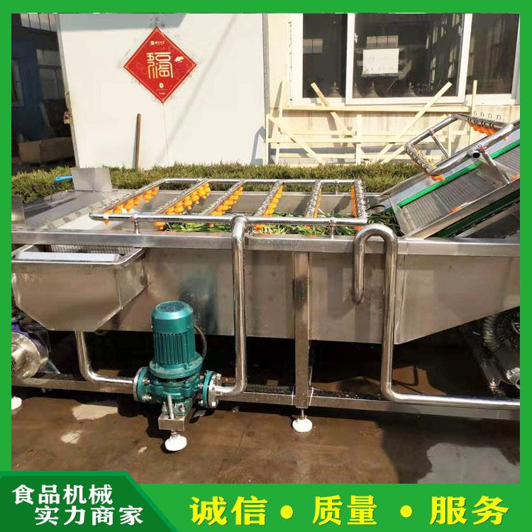 多功能涡流气泡清洗机 海蜇头海白菜清洗机 蔬菜水果去污风干线  小型清洗机价格质保