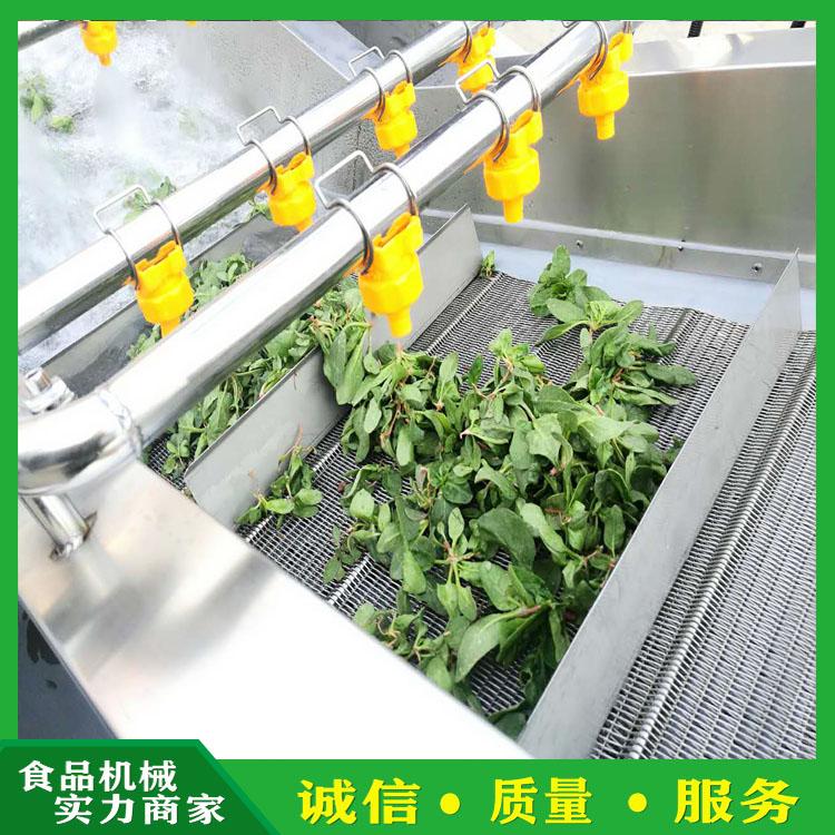 供应蔬菜预冷清洗机 喷淋式牛蒡清洗机 气泡履带式秋葵清洗风干机 生产厂家