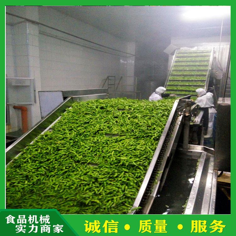 多功能玉米清洗机 气泡臭氧消毒清洗机多段喷淋 芹菜大头菜洗菜清洗机 可加工定制