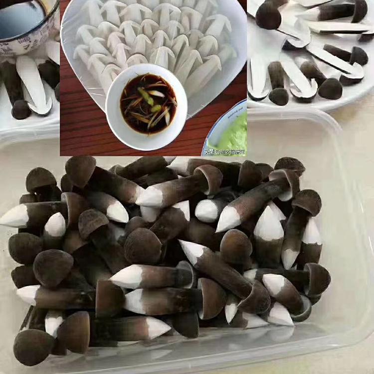 黑皮鸡枞菌种植基地 白鸡枞菌产地直销野生菌批发