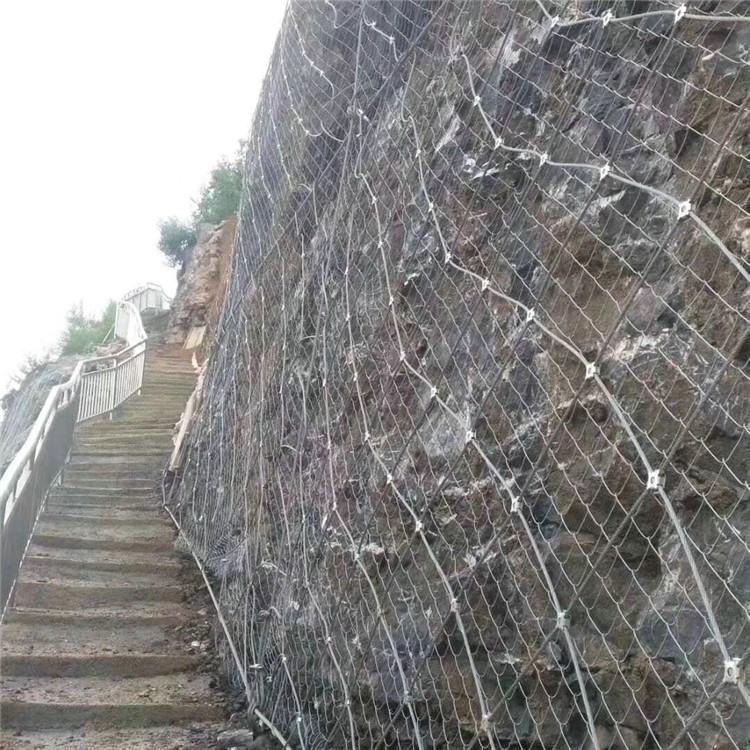 腾源 被动边坡防护网 山坡喷浆铁丝网 供应定做