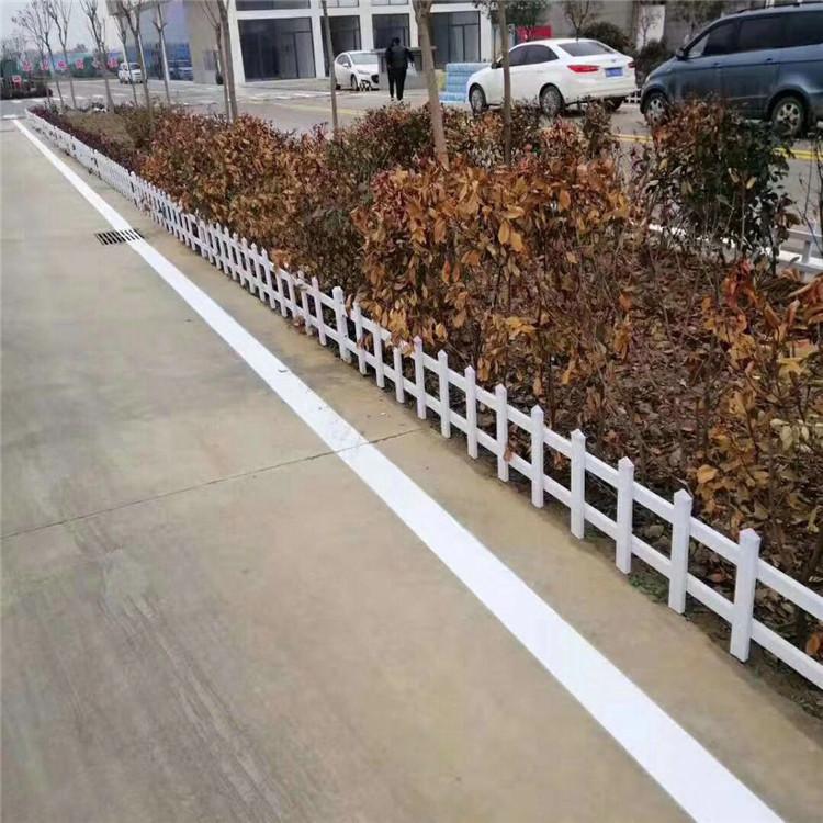 腾源  草坪围栏网 pvc草坪护栏 价格