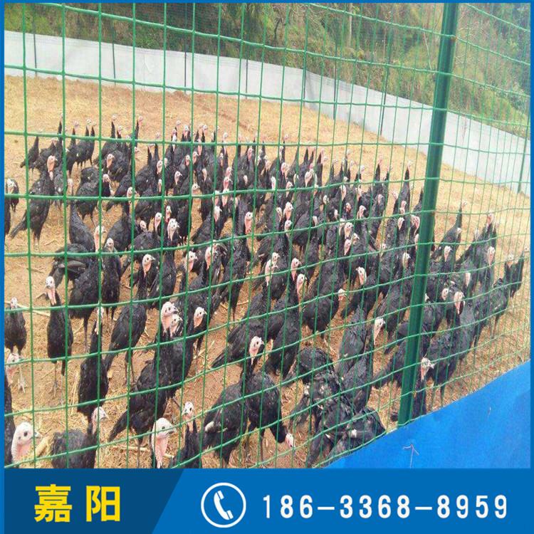 嘉阳 草原圈地浸塑养殖荷兰网 厂家现货