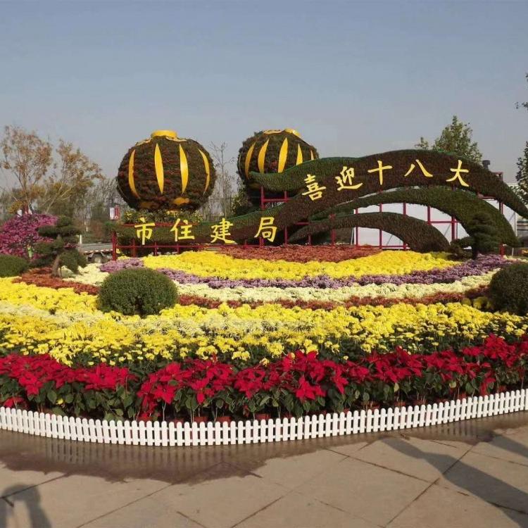 广场组摆花卉 公园公路花卉种植工程 花柱花球批发