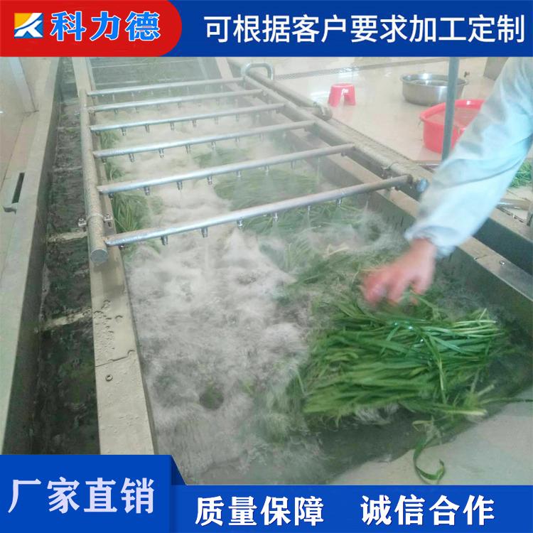 秋葵 菠菜 油菜杀青线 秋葵翻浪式喷淋清洗机 木耳空心菜气泡清洗机生产厂家