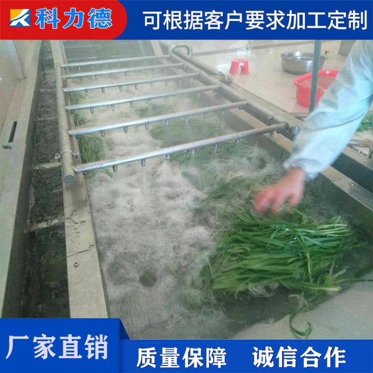 多功能花椰菜清洗机 包菜气泡清洗机 红枣清洗风选流水线 商用芦荟清洗机