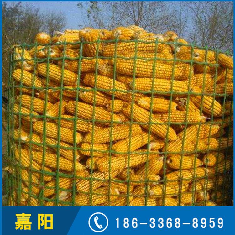 嘉阳广东 PVC涂塑荷兰网 铁丝网 铁丝网 养殖网 厂家现货