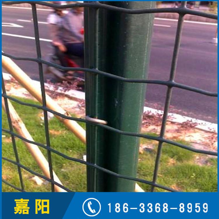 嘉阳 包塑荷兰网 养殖浸塑荷兰网 果园荷兰网 厂家现货