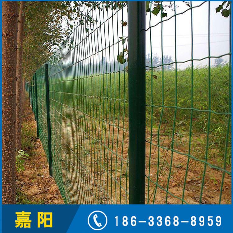 嘉阳 铁丝防护养鸡围栏网 圈地浸塑荷兰网 厂家现货