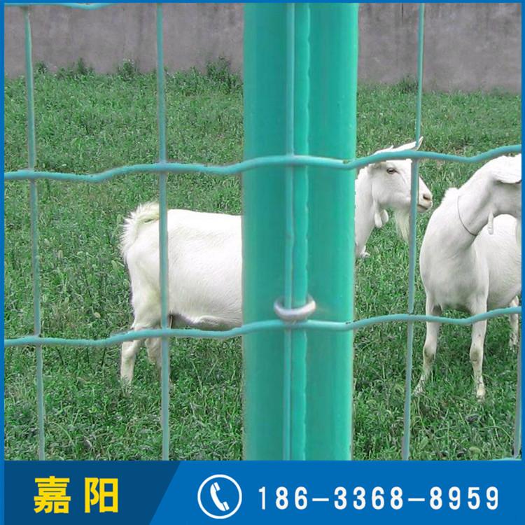 嘉阳内蒙 硬塑荷兰网 金属养殖养鸡铁丝网 厂家现货