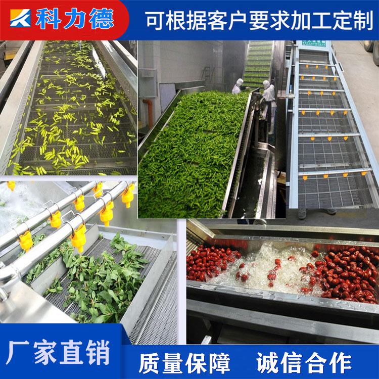 供应大枣果蔬清洗机 白菜菠菜清洗机 大型果蔬去农残清洗线 山野菜蔬菜清洗设备