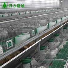 山东现货供应商品兔笼 养殖兔笼 2层24位兔笼 商品兔笼 赖兔笼 种兔笼价格优惠