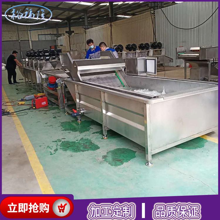 供应大枣气泡清洗机 薄荷叶气泡清洗机价格 厂家定制