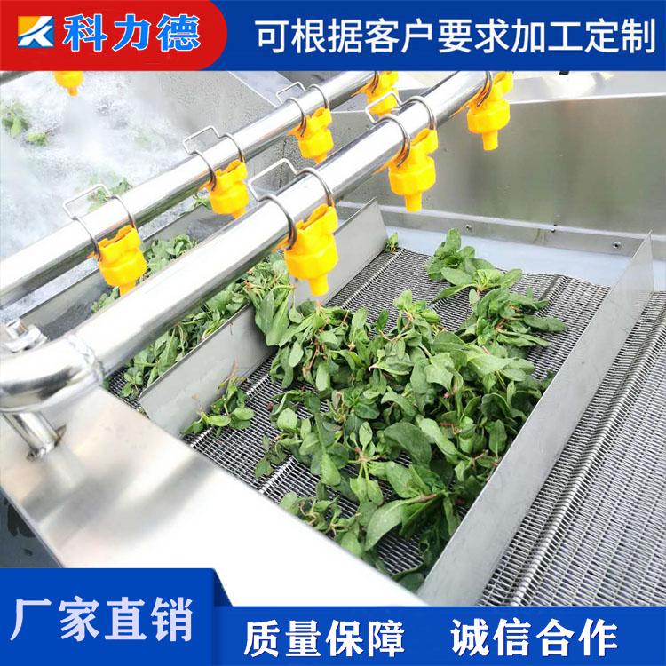 海产品生蚝去杂清洗机 自动出料臭氧清洗机 中草药去杂质清洗设备 地瓜清洗去泥机