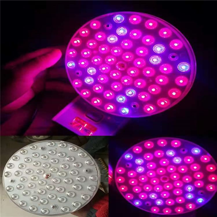 寿光红光LED植物生长补光灯销售商  寿光红光LED植物生长补光灯