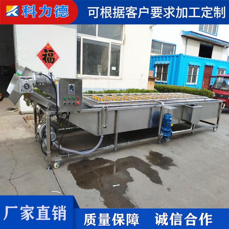 芹菜洋葱加工生产设备 脱水蔬菜加工生产线 多功能枸杞喷淋式果蔬气泡清洗机