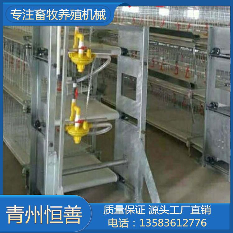 恒善笼养系统 笼养系统制造商 批发笼养系统厂家