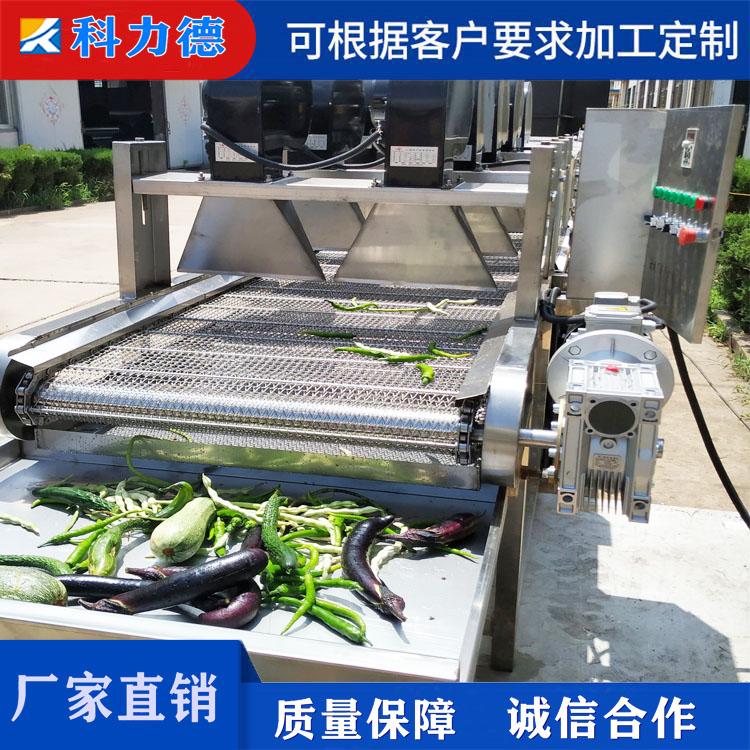 莲藕清洗去皮机 多功能冬葵清洗机 板栗清洗设备 大枣枸杞葡萄干清洗风干线